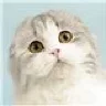PurrSea