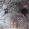 Natawko