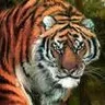 sharhan