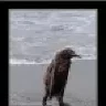 0ik
