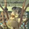 Smeshnoy