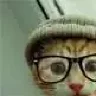 rainlu