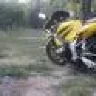 salik_biker