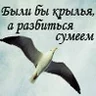 user23