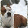 ASTlena