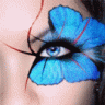 blue butterfly