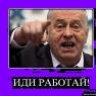 Lider LDPR