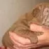 Aliskaa