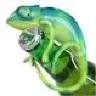 Mr.Chameleon