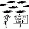 jaywalker