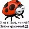 КаринаD