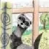 Timon4ik