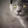 skylu