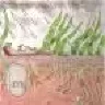 vdbo