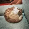 Вик. Дорофеев