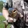 Serejka89