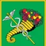 kharkov.ua