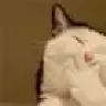 Pon4ikstar