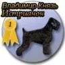 blak guard