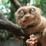 Che-burashka