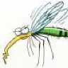 mosquito killer