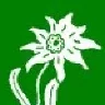 Gebirgs-Division