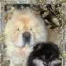 Mon Sher