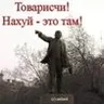 nikol_pro