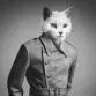 Jimmm