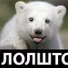 лолшто
