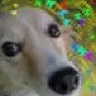 Данита