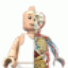 troopseek