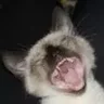 УмикоТМ