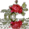 Флора77