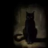 Chatte_Noire