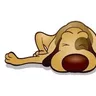 Lazy Dog