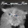 Кот_просто_Кот