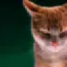 seniorserg