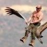Стерх Путина