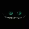 aCatWithoutAHead