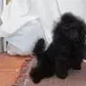 Капитолина Марковн