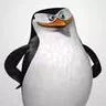 Шкиперрр