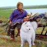 Nenets