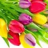 Svetlana_xxx