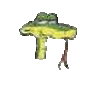 _Kaa_