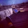 Lie_To_me