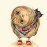 owl-carousel