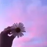 Леся Я