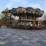 Рашида61