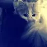 Innysik